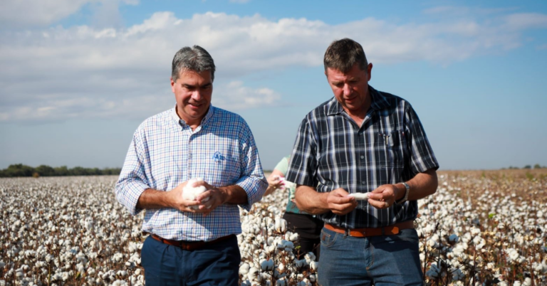 En Charata, Capitanich recorrió el lote de algodón de los grupos Xima e Italar