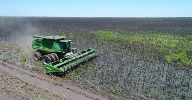 Chaco: el drama de las inundaciones en primera persona