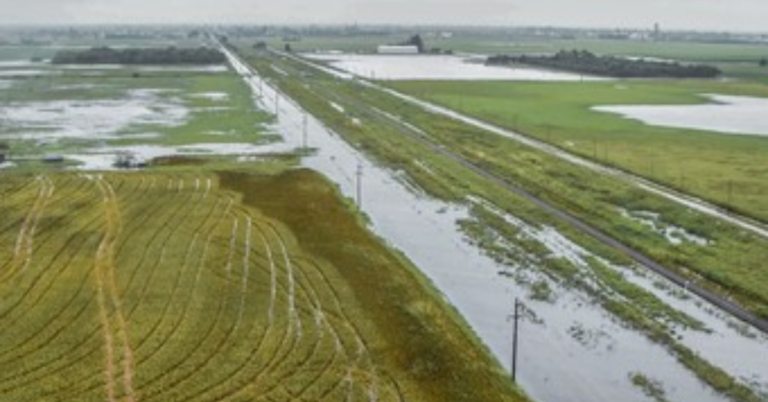 Las inundaciones que provocaron las lluvias vuelven a golpear al campo en Chaco